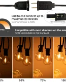 Lucine LED Sphoon 15M 20M Connesse E12 G40 Impermeabili IP44 Dimmabili per Giardino e Matrimonio