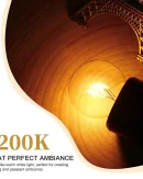 10 Lampadine Edison Incandescenti 7W E12 G40 2200K - Luci Decorative per Stringa 110V/220V